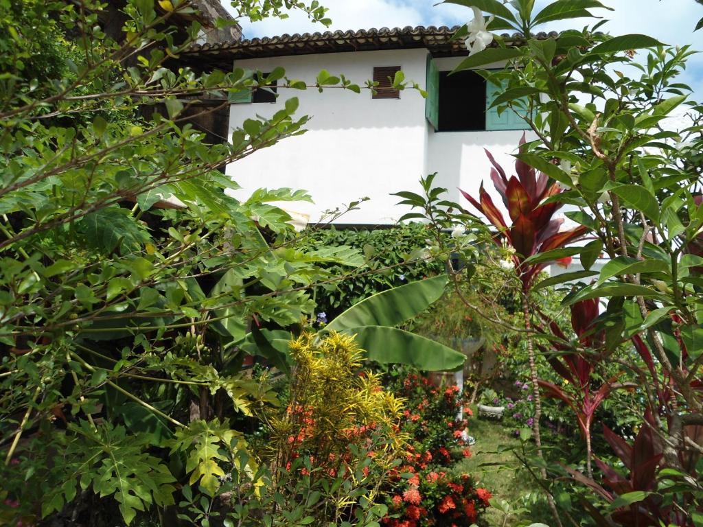 Hotel casa Mirage Pipa Praia de Pipa Exterior foto